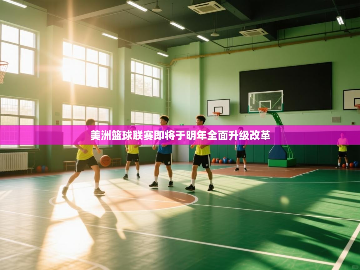 美洲篮球联赛即将于明年全面升级改革 第1张