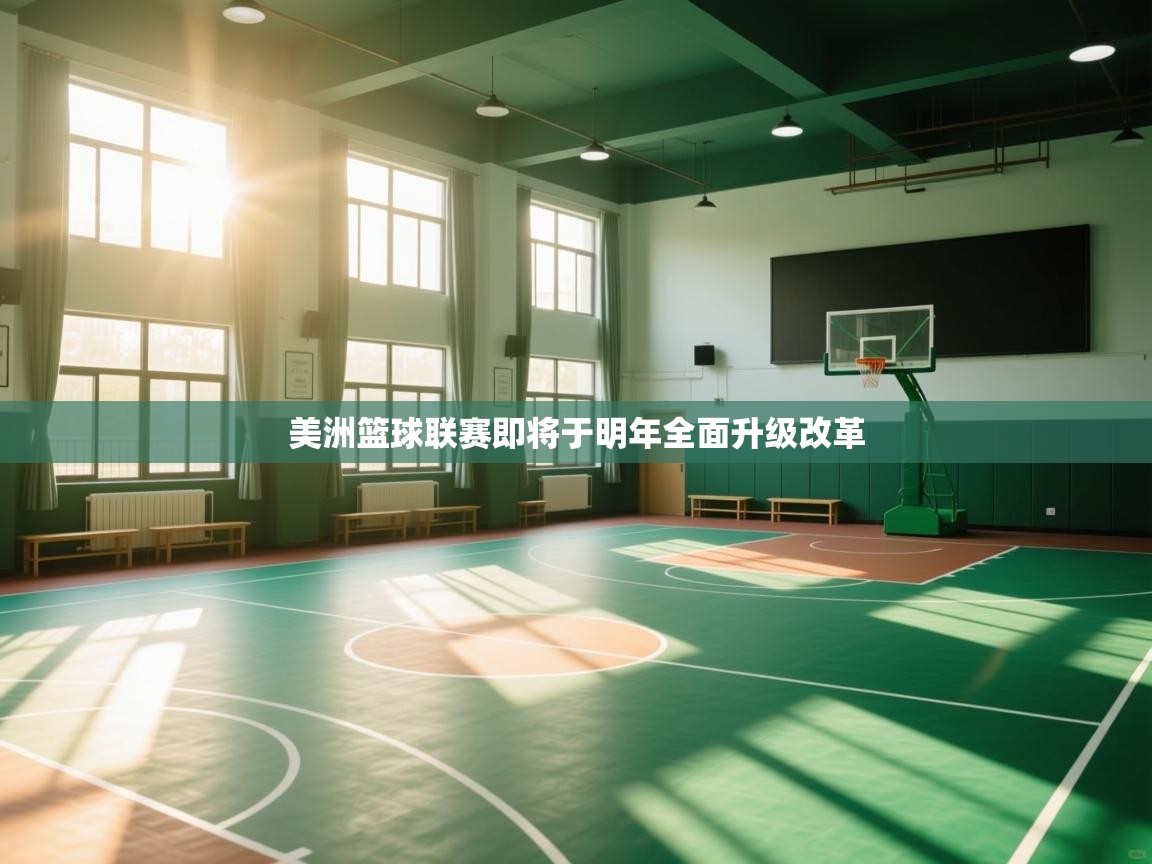 美洲篮球联赛即将于明年全面升级改革 第2张