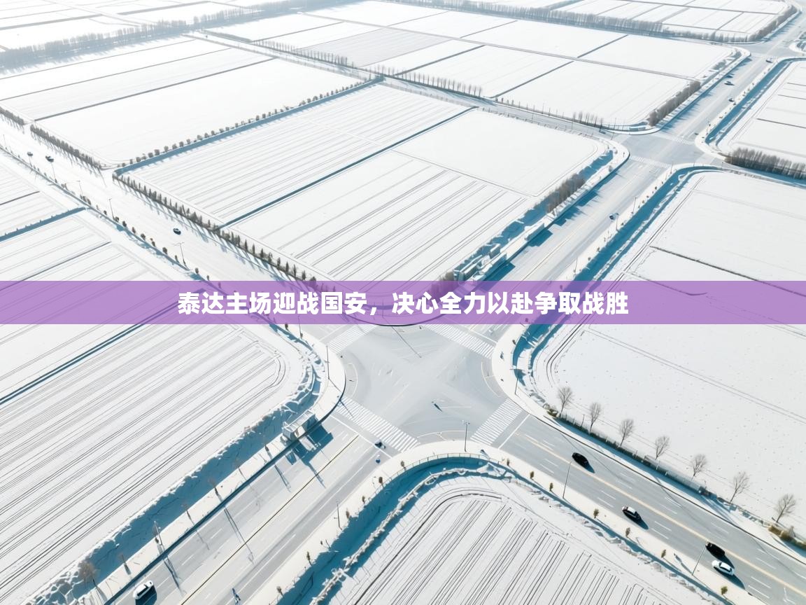 泰达主场迎战国安,决心全力以赴争取战胜 第2张