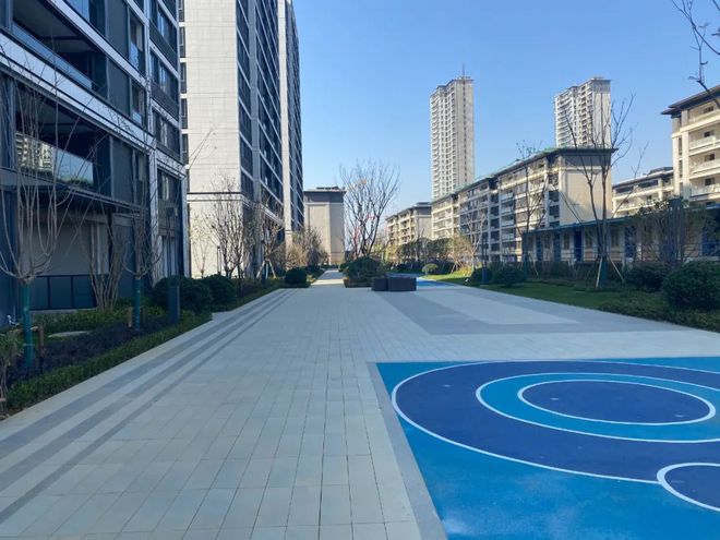 爱游戏登录入口-包含杭州德比：绿城与绿茵争夺至高荣耀的词条