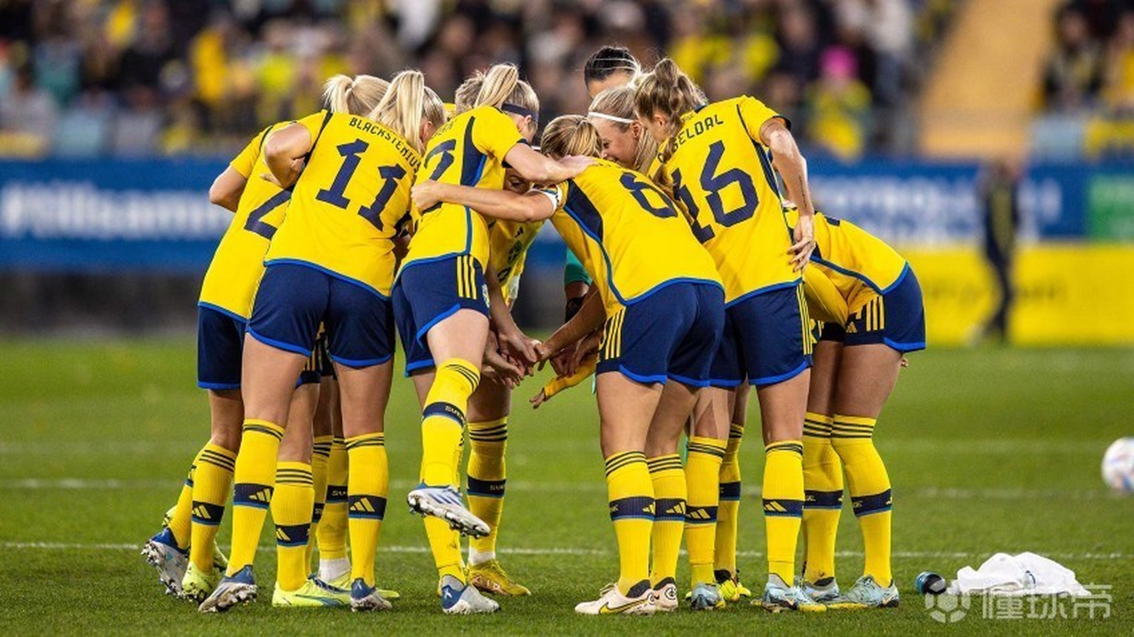 爱游戏网页版入口-瑞典女足球员表现出色，助队取胜