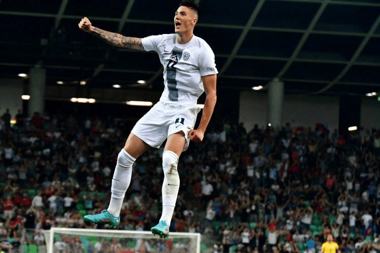 爱游戏官方入口-斯洛文尼亚队在欧预赛中步入正轨，雄心勃勃